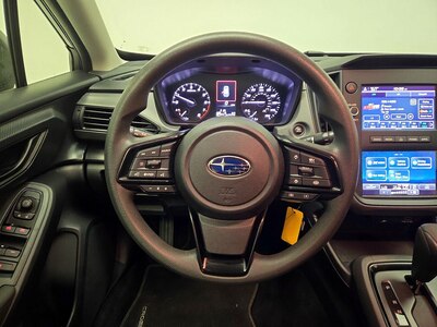 Steering Wheel & Instrument Cluster (On)