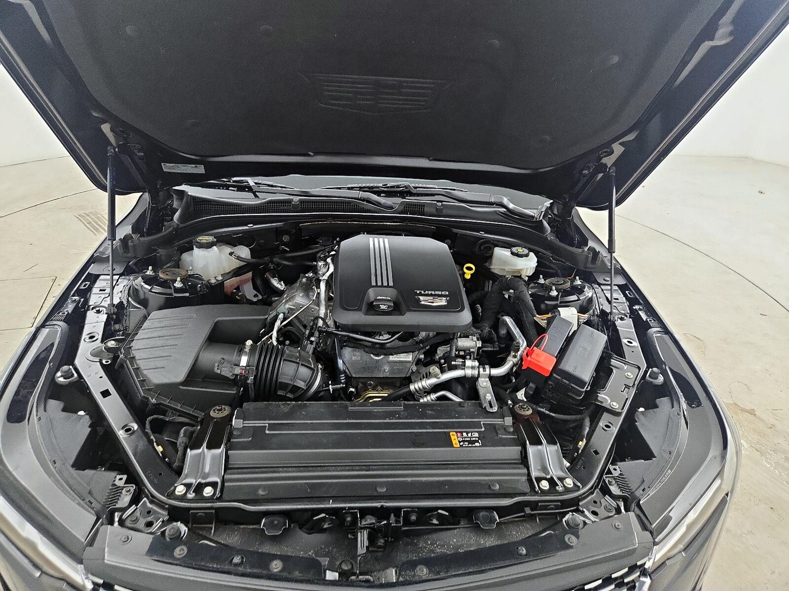 2025 Cadillac CT4 Luxury - Photo 24