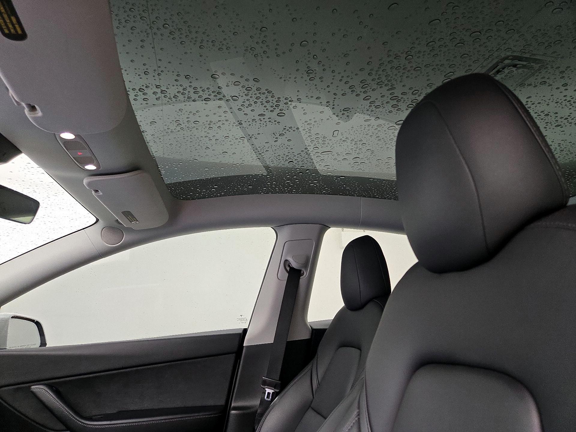 Thumbnail: 2022 Tesla Model Y - 19