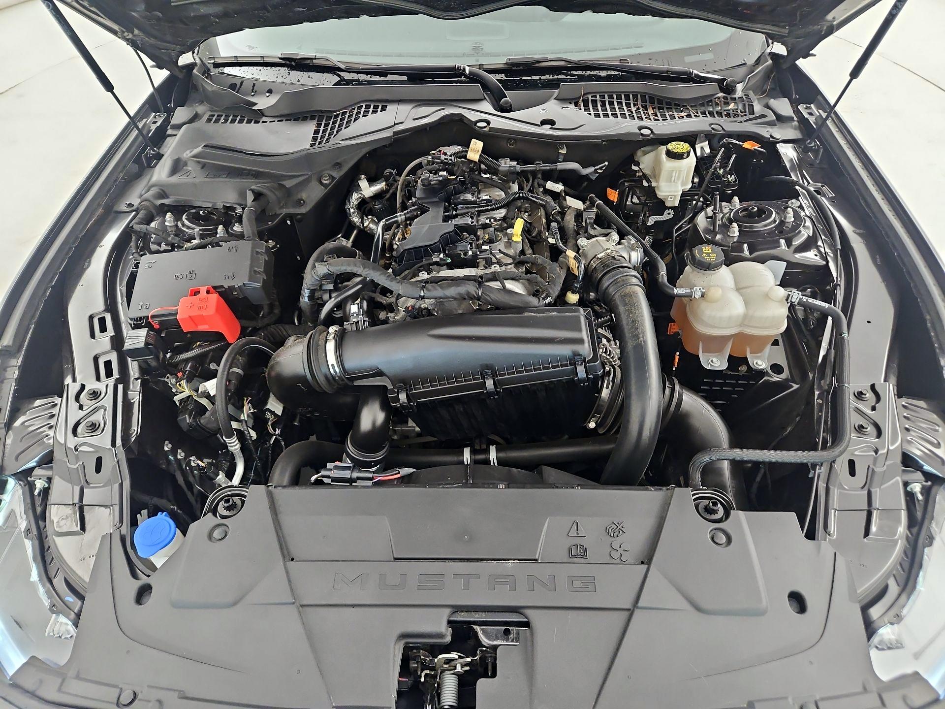 Thumbnail: 2024 Ford Mustang - 20