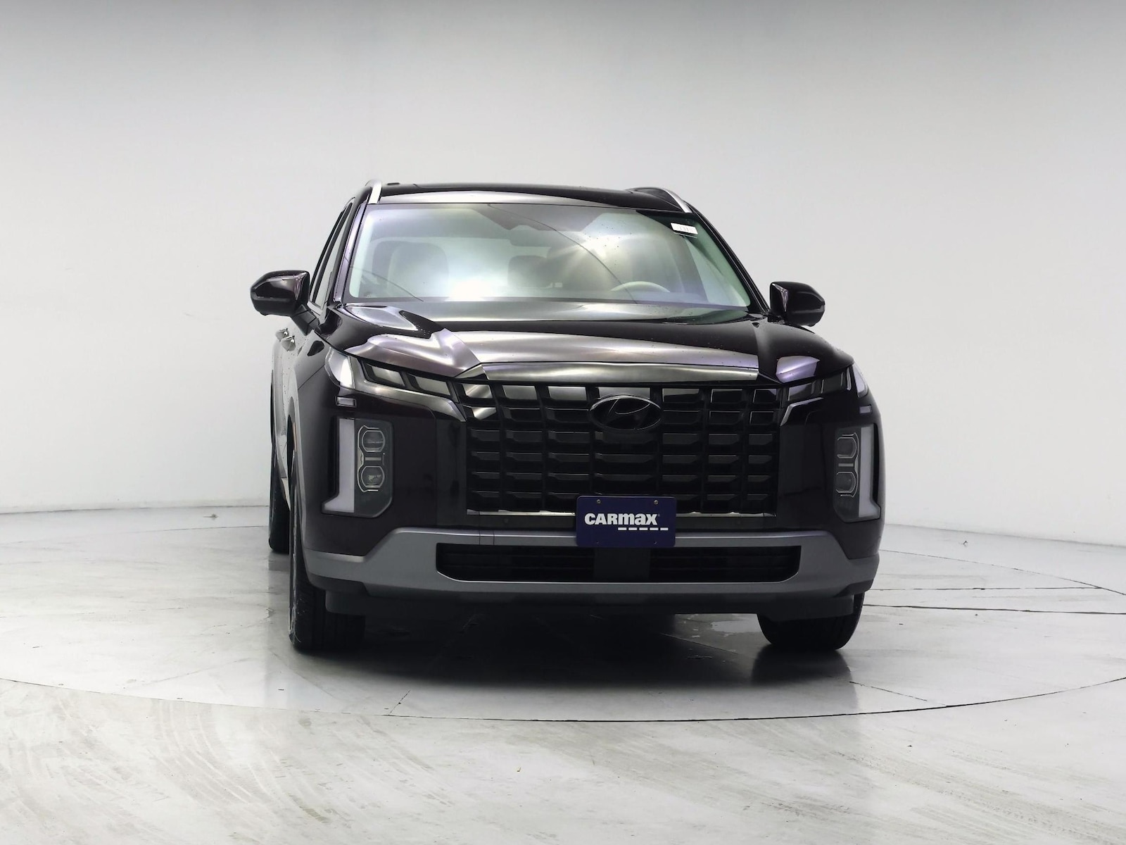 2023 Hyundai Palisade Limited - Photo 6