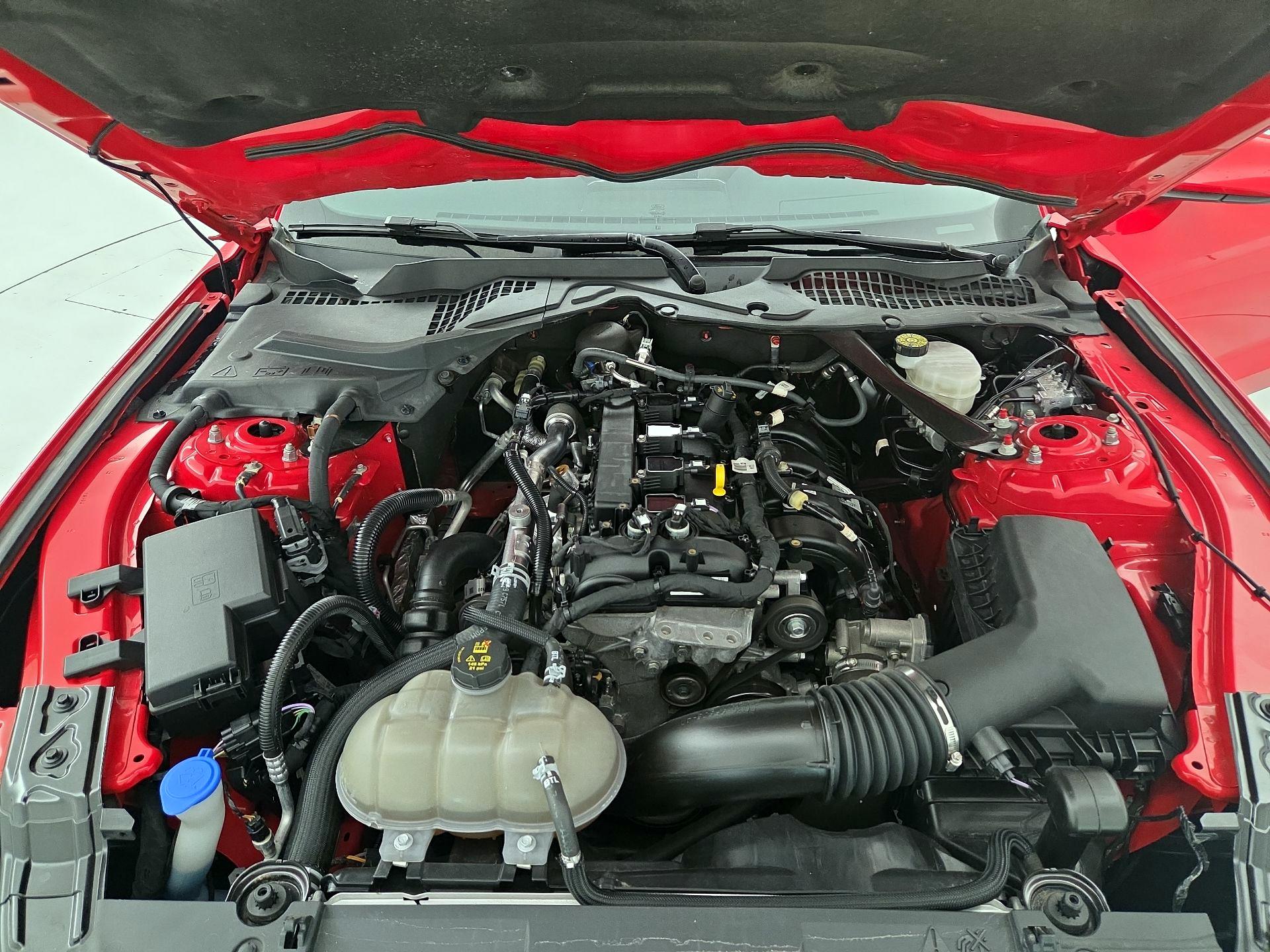 Thumbnail: 2023 Ford Mustang - 19