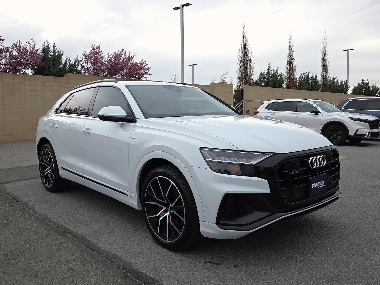 2019 Audi Q8