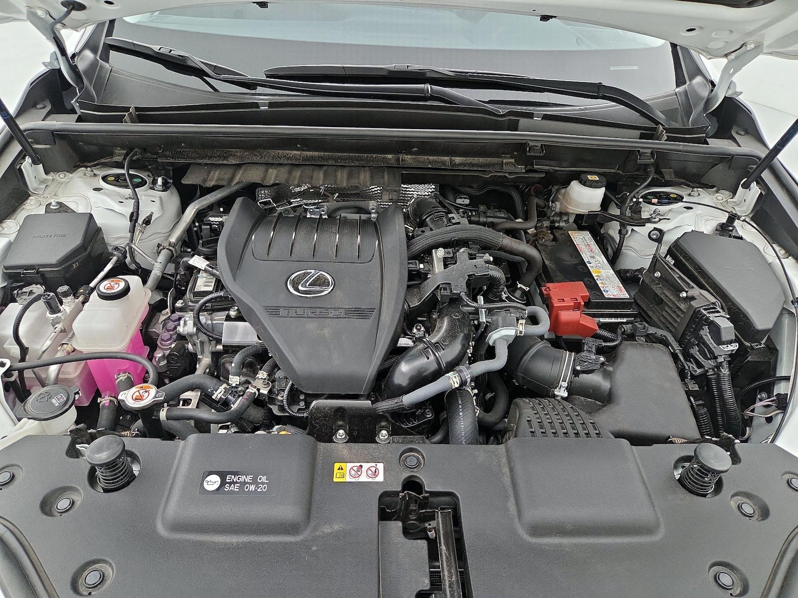 2025 Lexus NX 350 - Photo 23