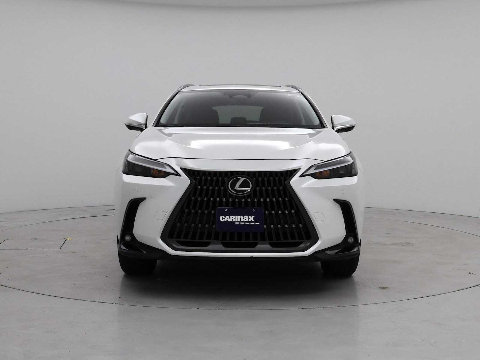 2025 Lexus NX 350 - Photo 6