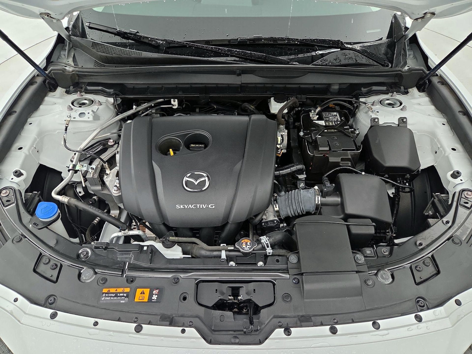 2024 Mazda CX-50 S PREFERRED - Photo 22