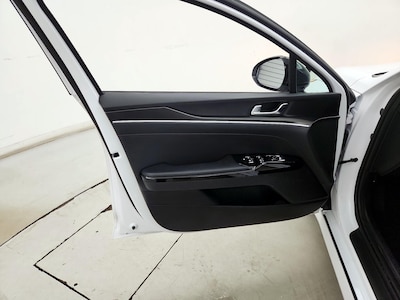 Driver Door Panel