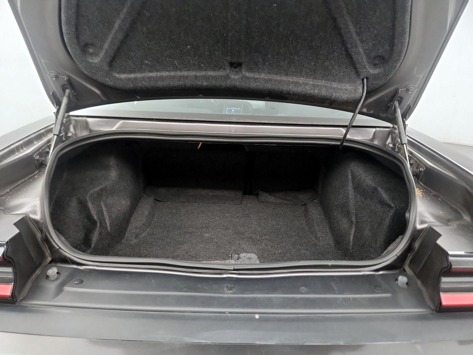 Thumbnail: 2019 Dodge Challenger - 20