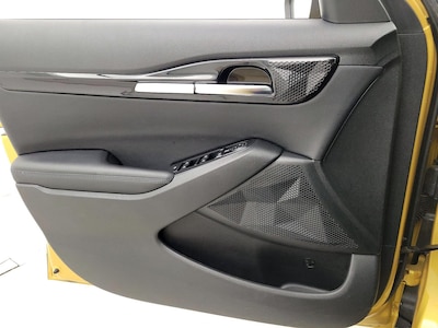 Driver Door Panel