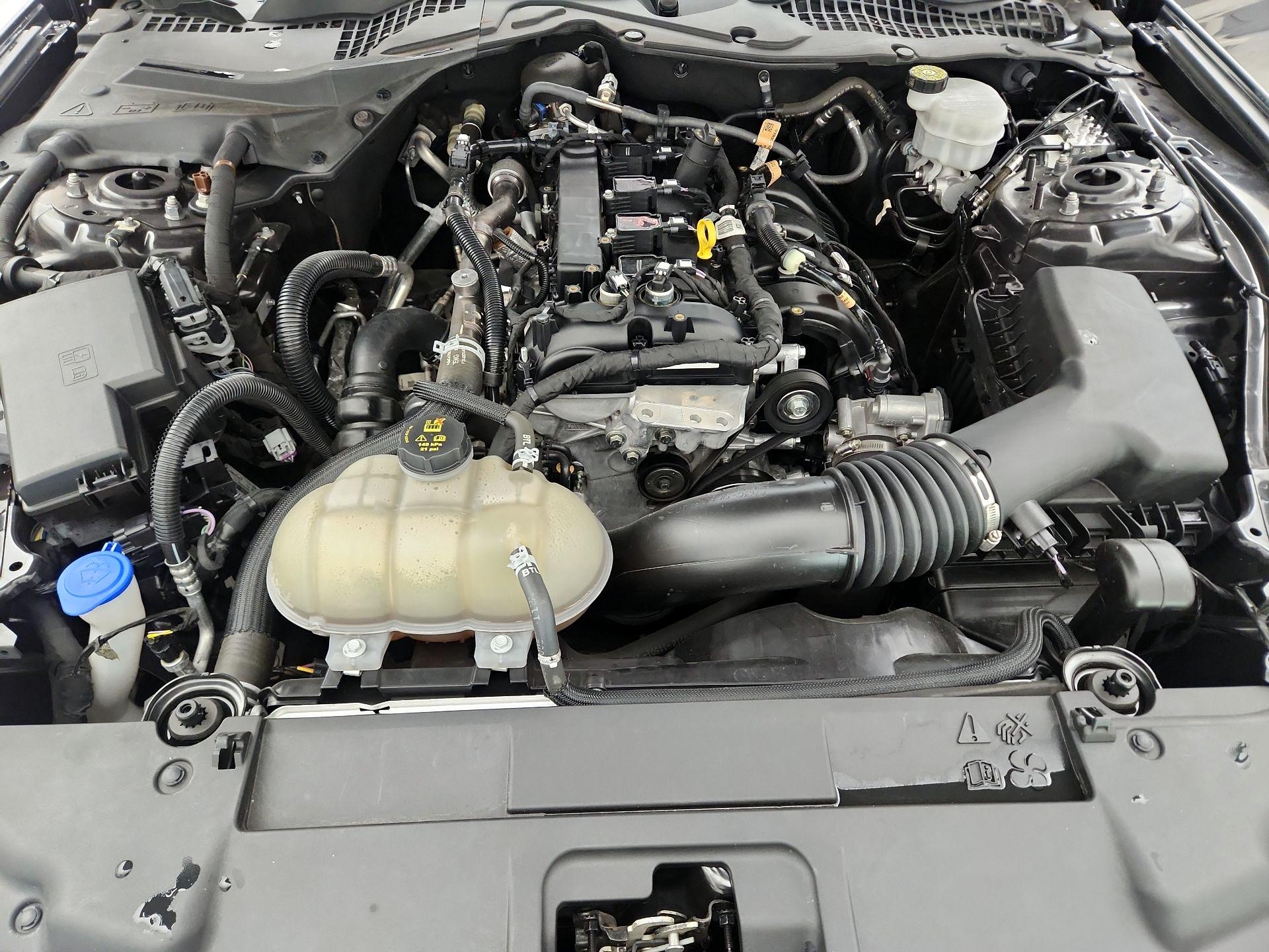 Thumbnail: 2022 Ford Mustang - 20