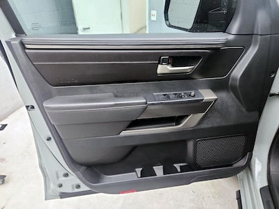 Driver Door Panel