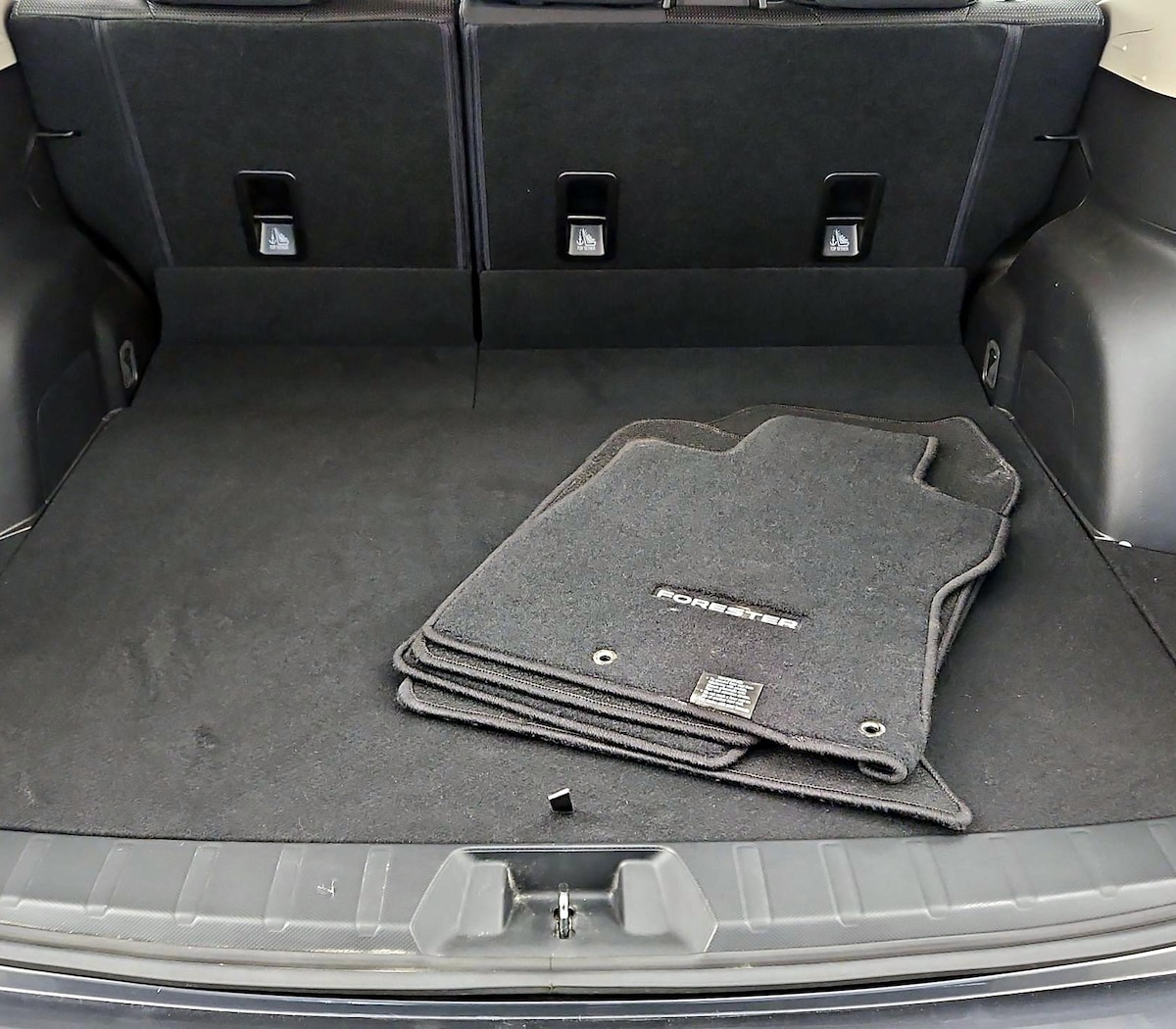 Trunk/Cargo (Seats Up)