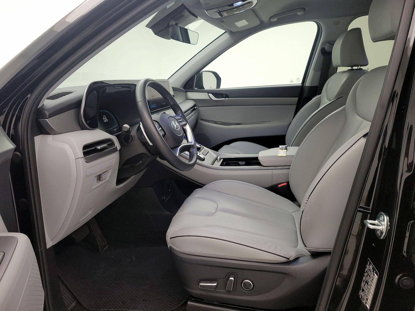2025 Hyundai Palisade SEL - Photo 12