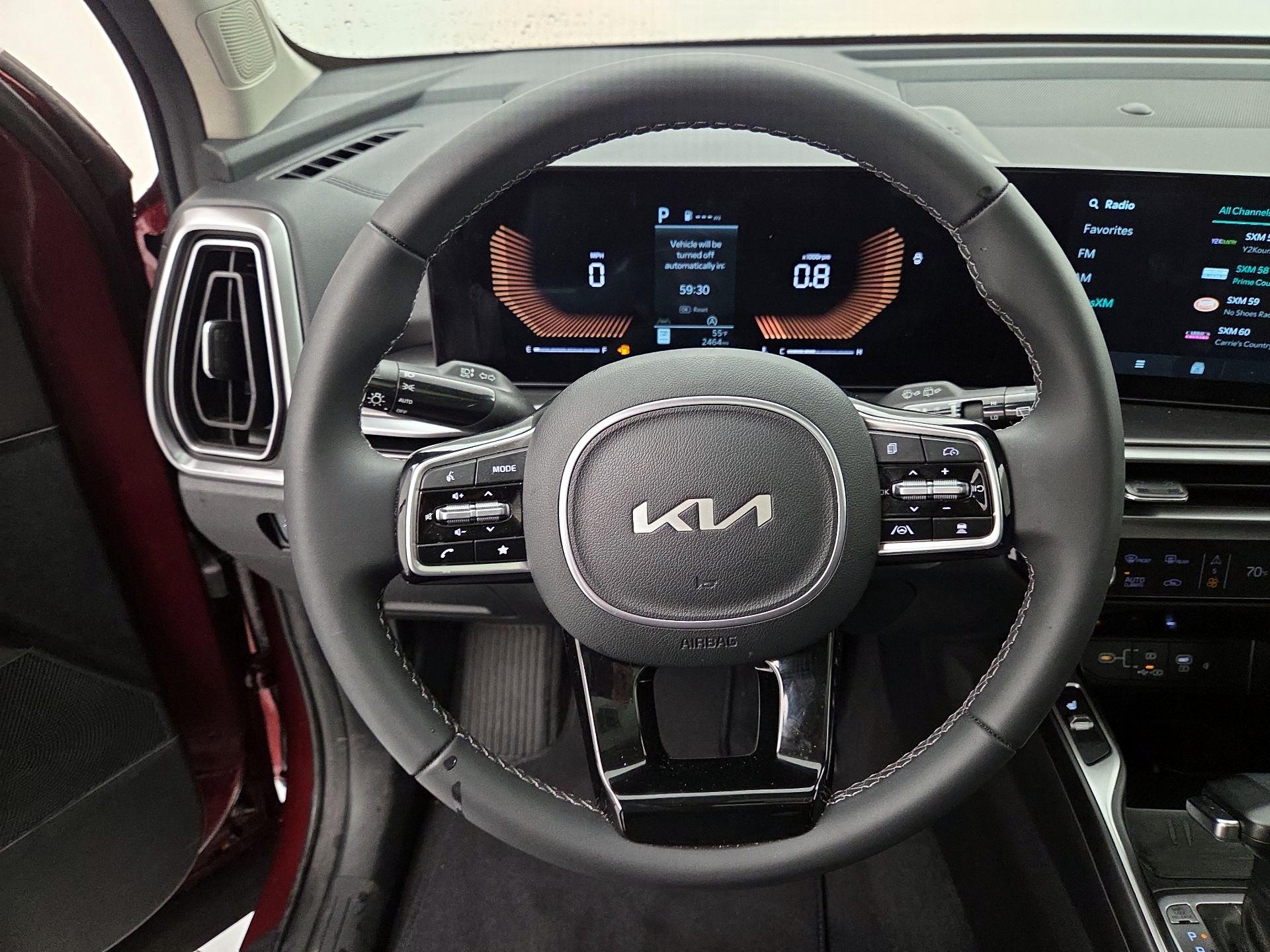 Thumbnail: 2025 Kia Sorento - 10