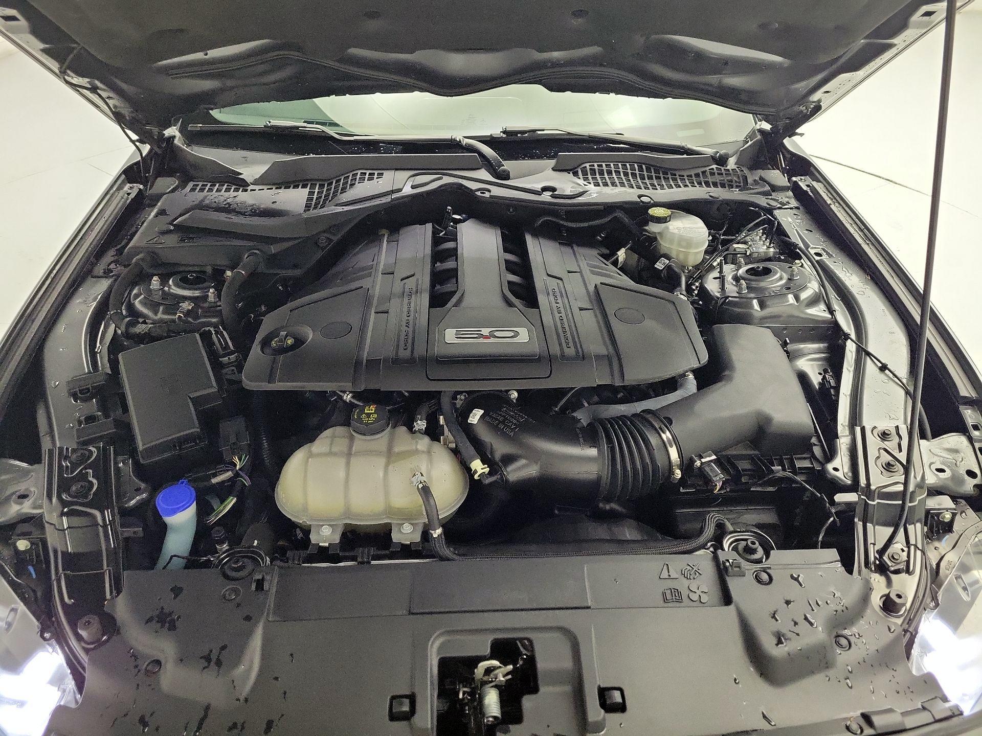 Thumbnail: 2023 Ford Mustang - 19