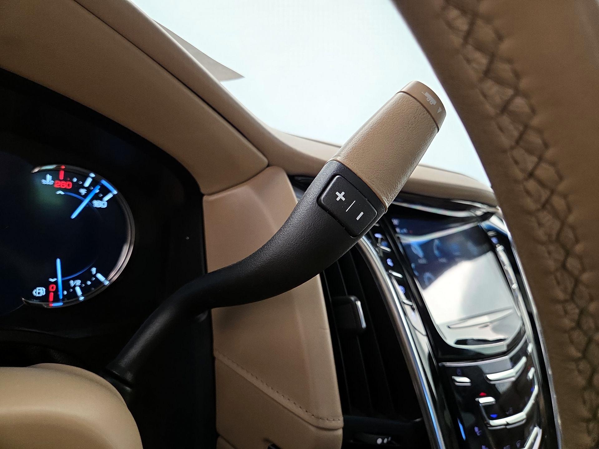 Thumbnail: 2019 Cadillac Escalade - 17