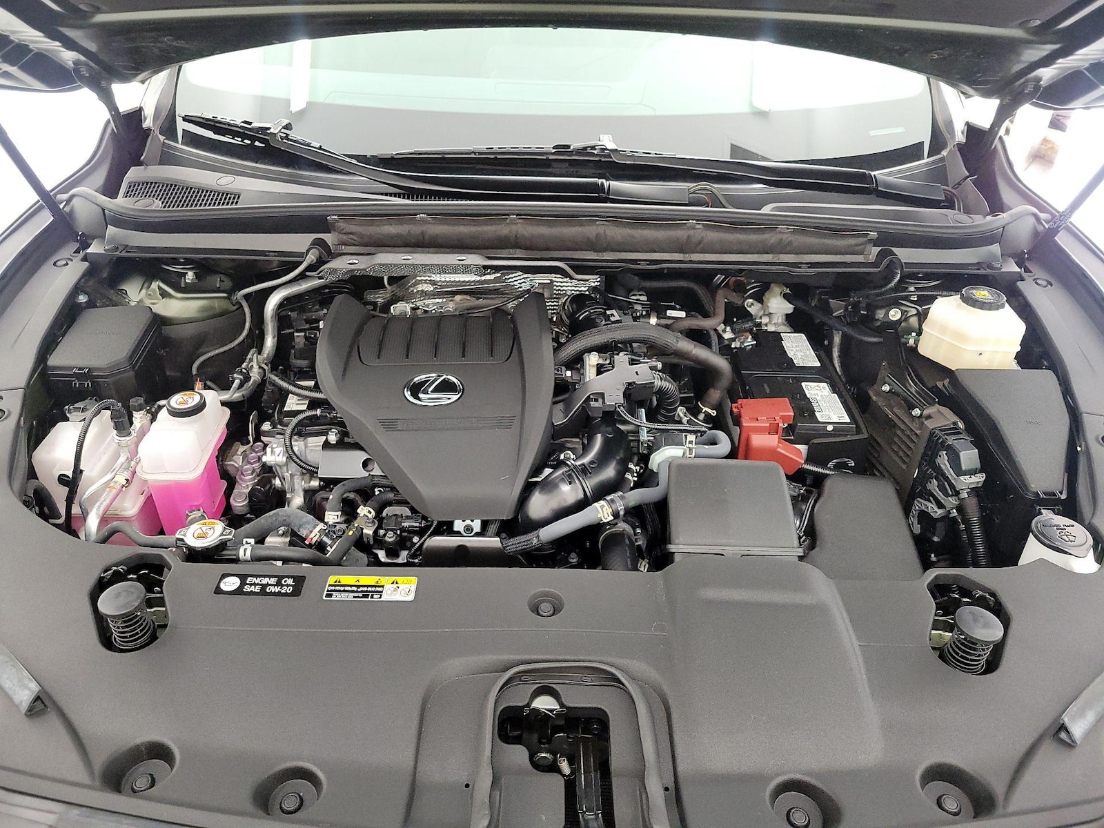 2025 Lexus RX 350 - Photo 23