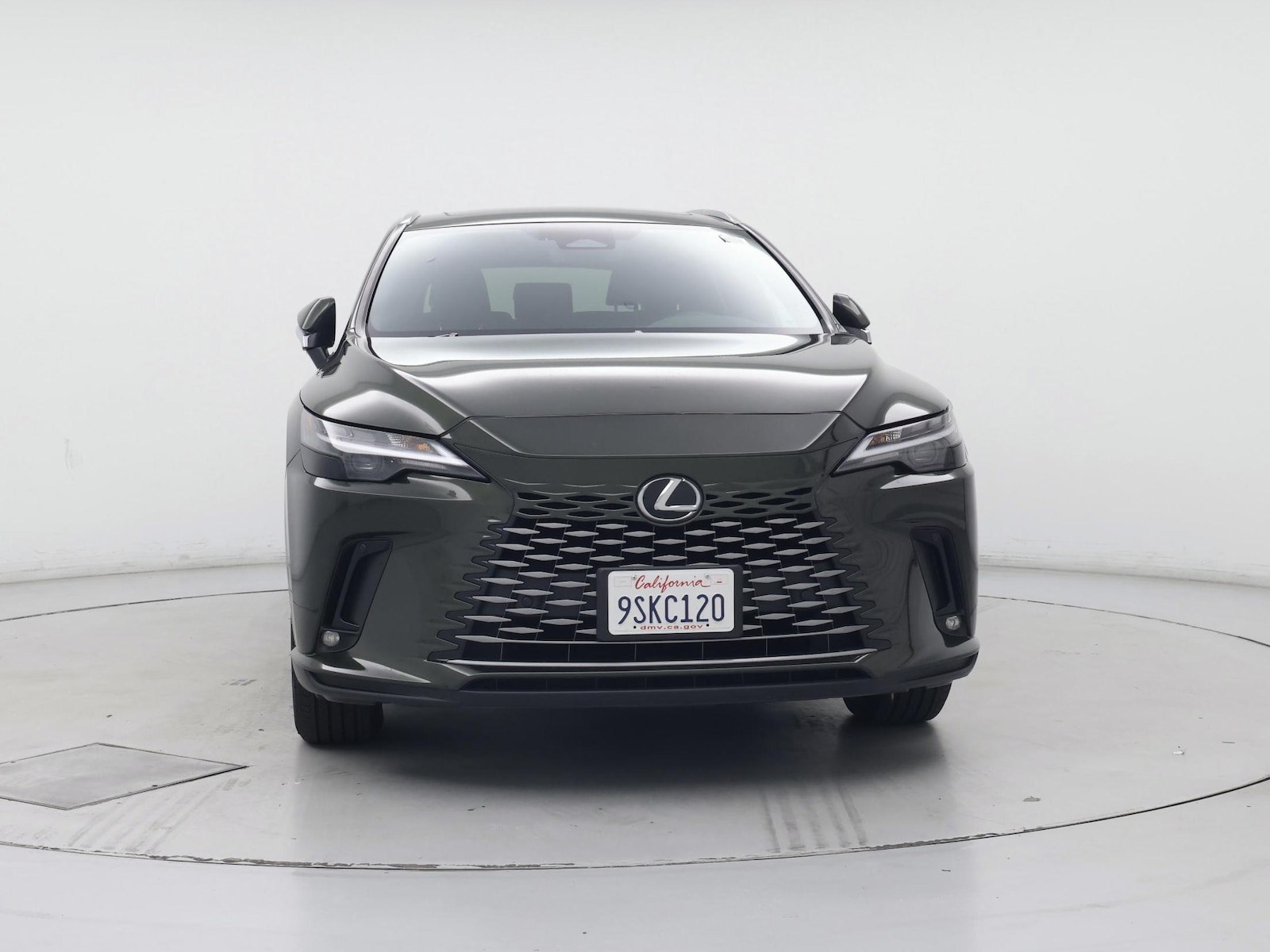 2025 Lexus RX 350 - Photo 6