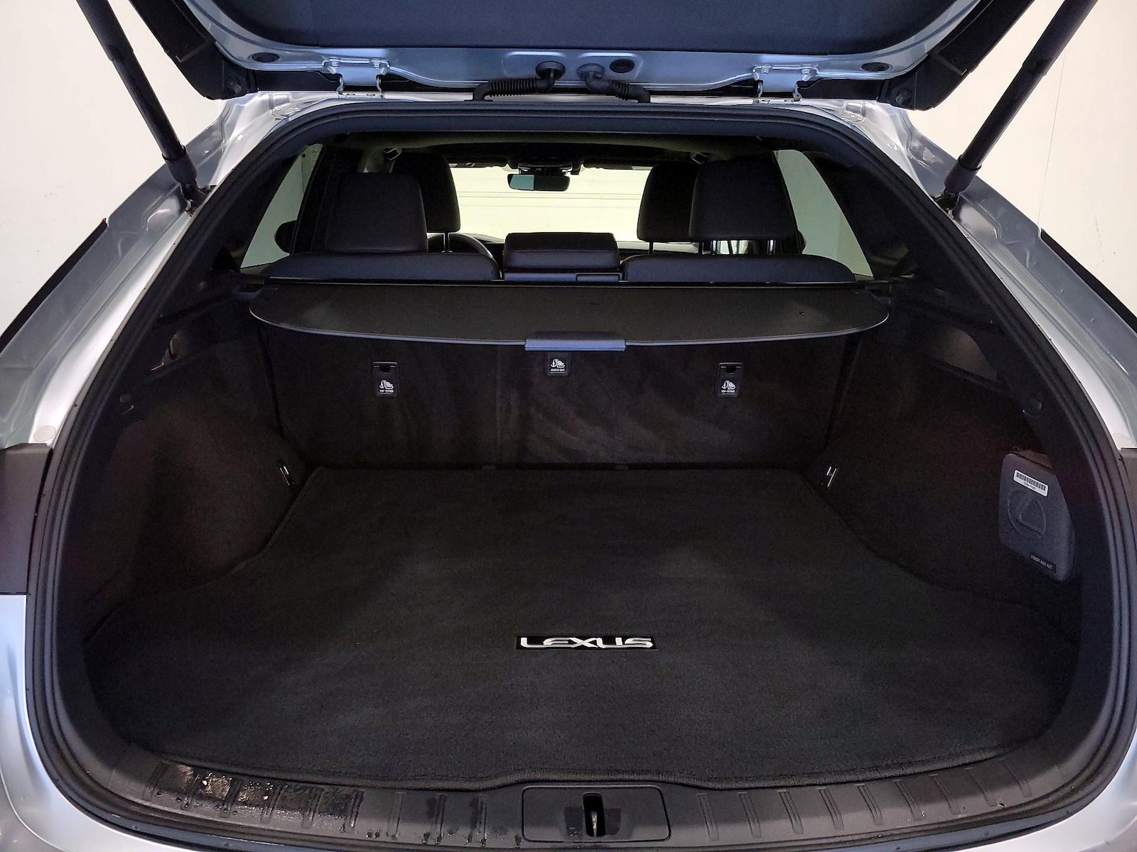 2025 Lexus RX 350 - Photo 22