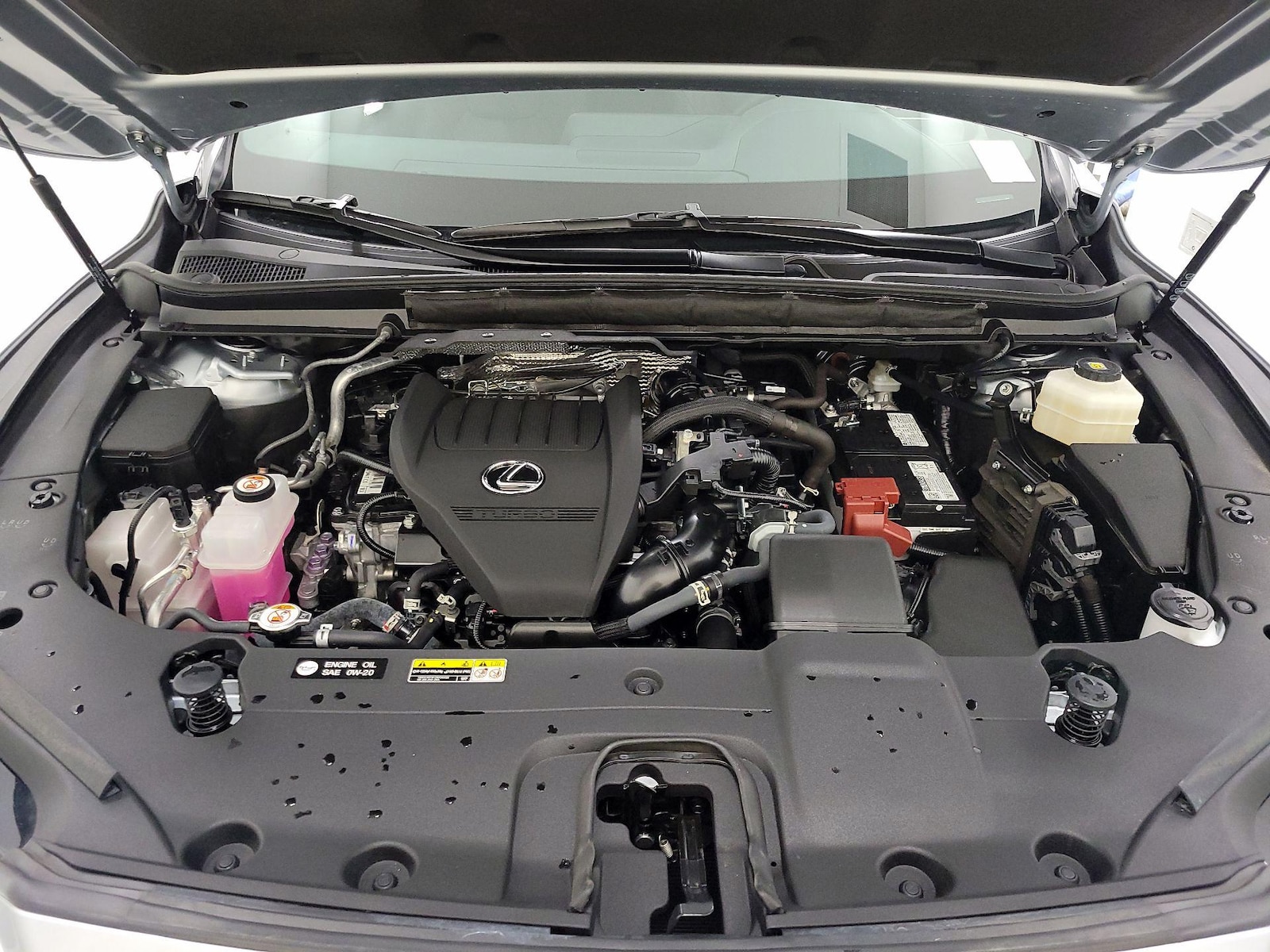 2025 Lexus RX 350 - Photo 23