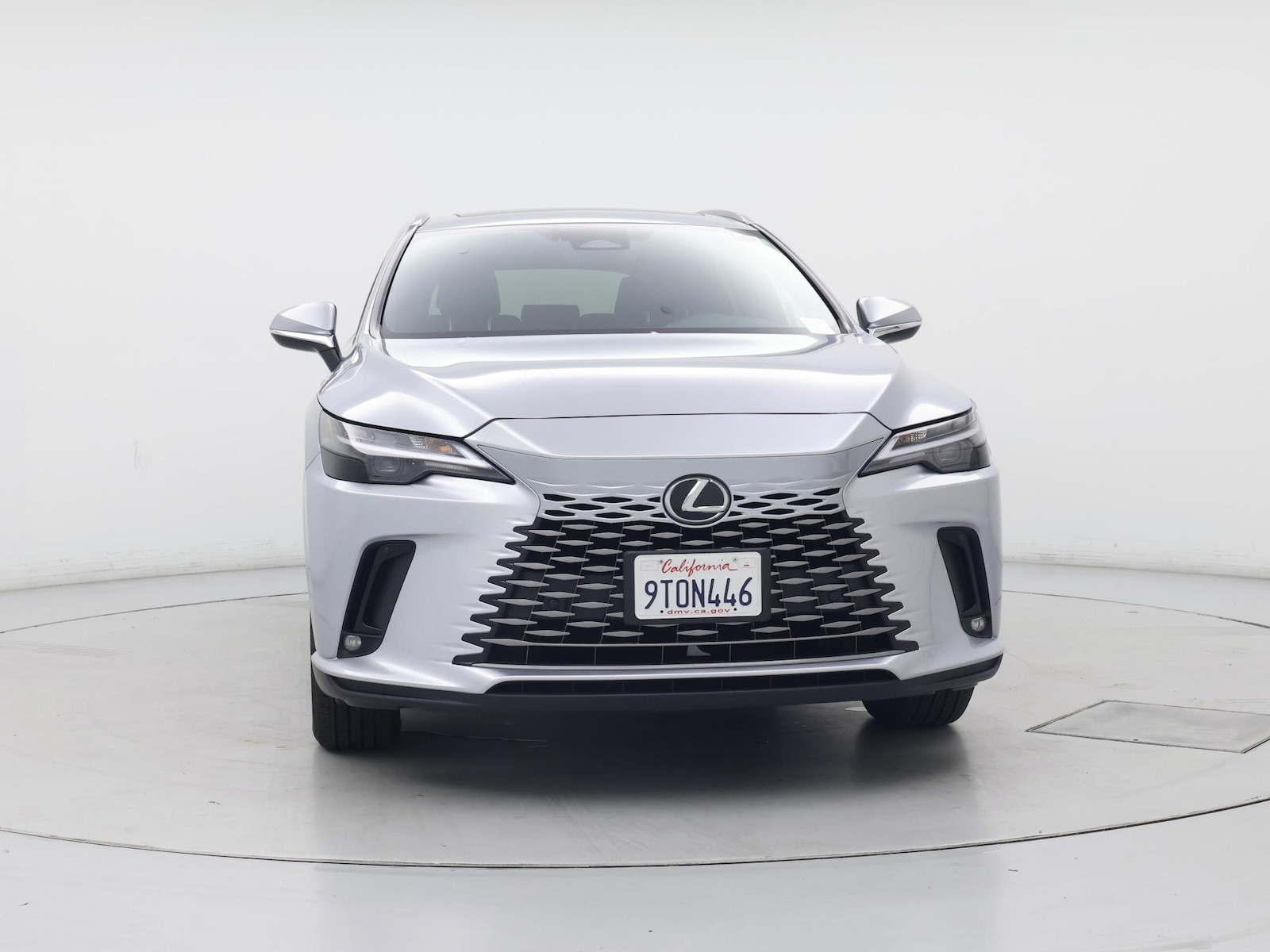 2025 Lexus RX 350 - Photo 6