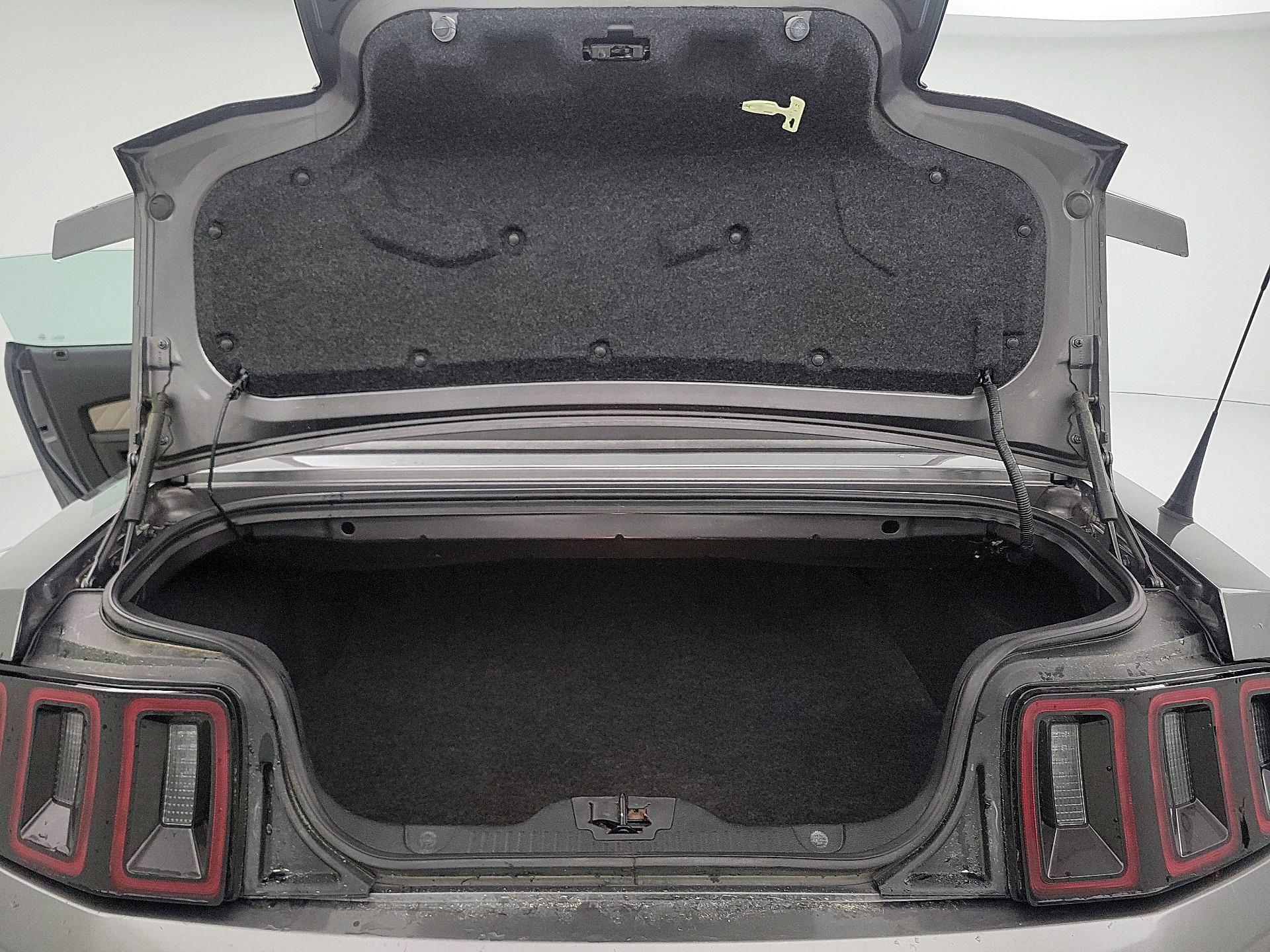 Thumbnail: 2014 Ford Mustang - 19