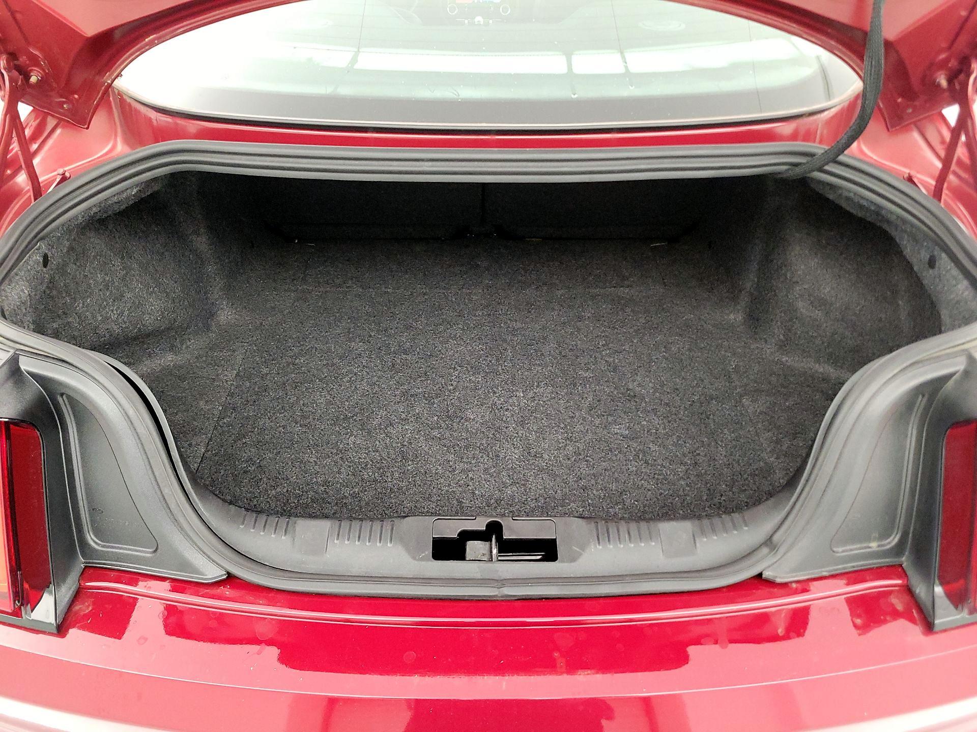 Thumbnail: 2015 Ford Mustang - 20