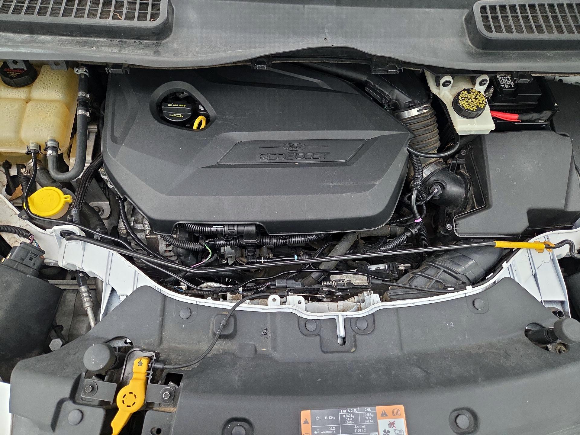 Thumbnail: 2014 Ford Escape - 20