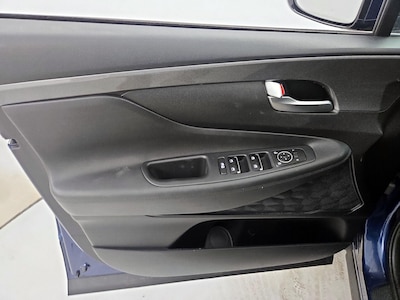 Driver Door Panel
