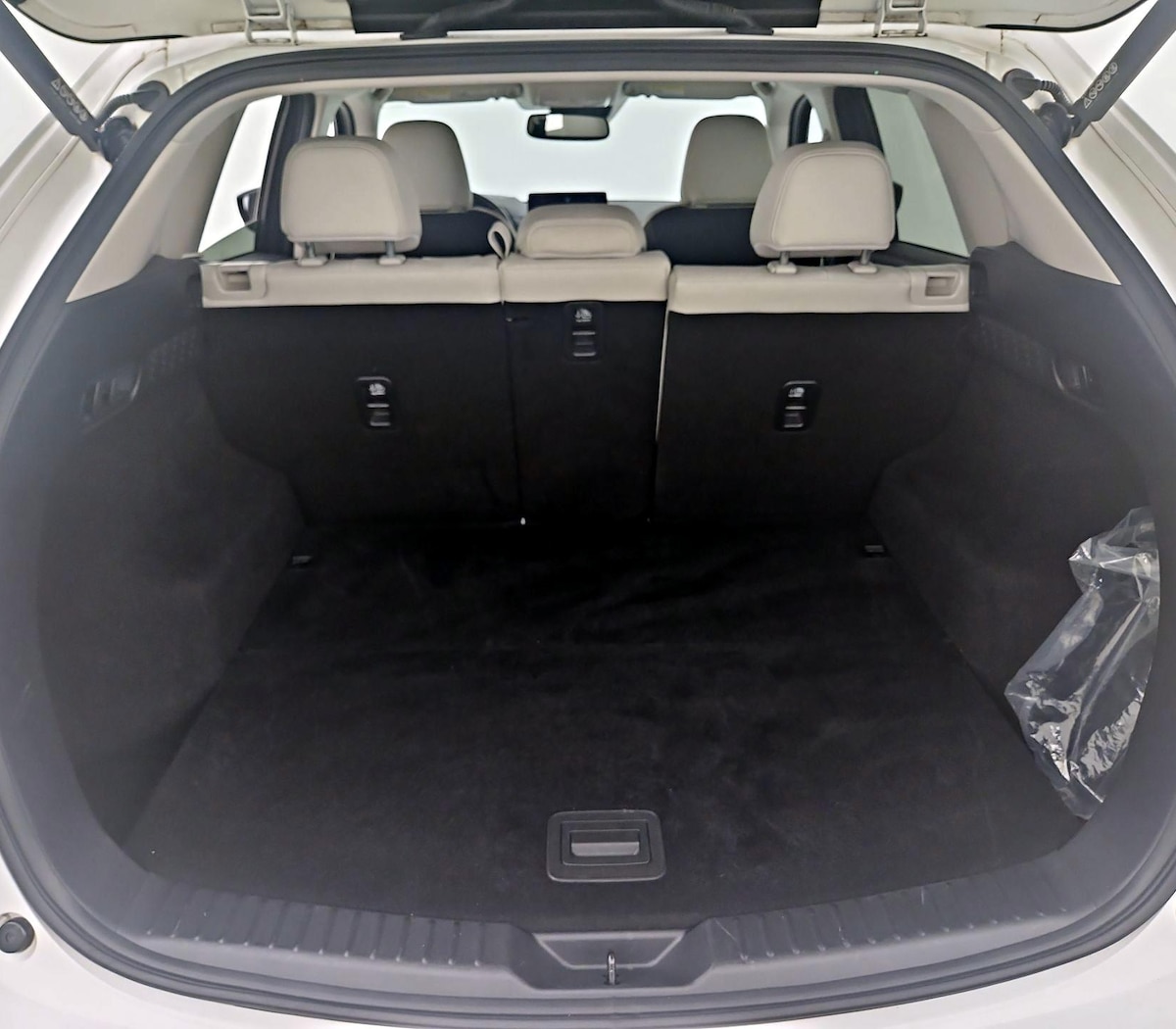 Trunk/Cargo (Seats Up)