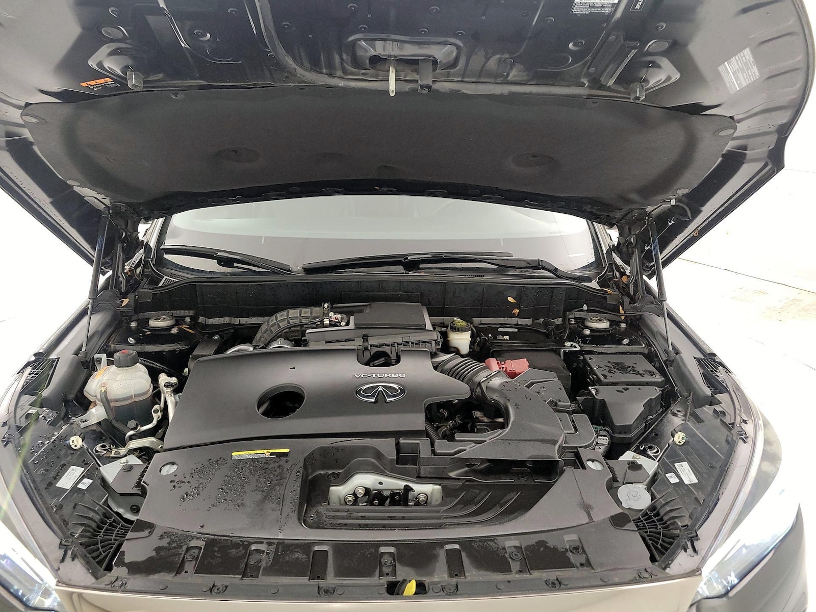 View 18
