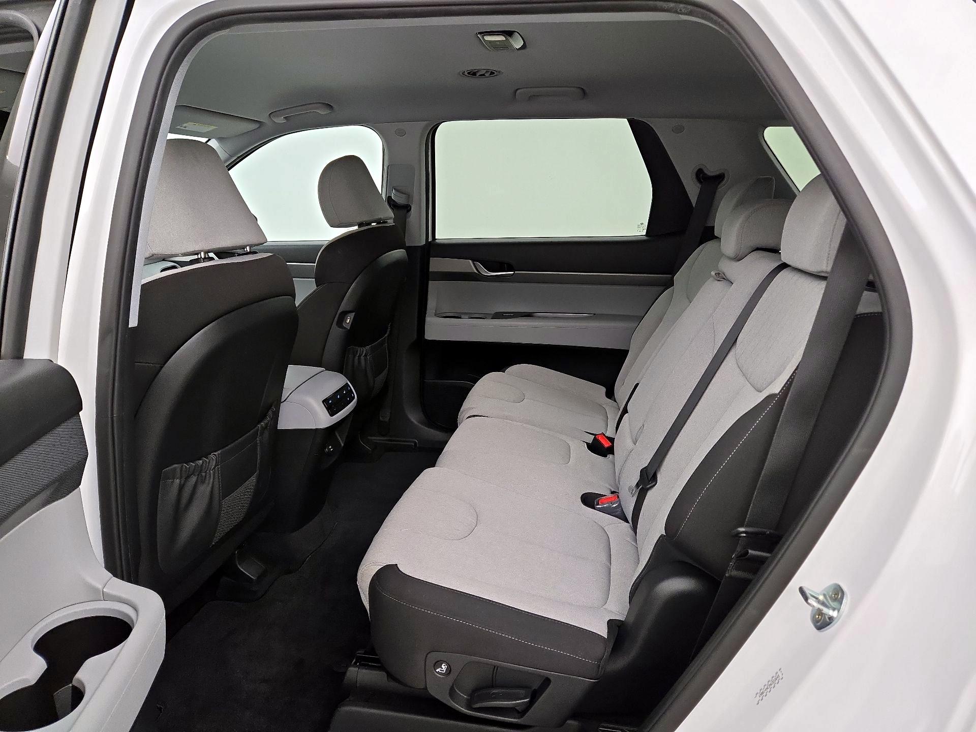 Thumbnail: 2021 Hyundai Palisade - 19