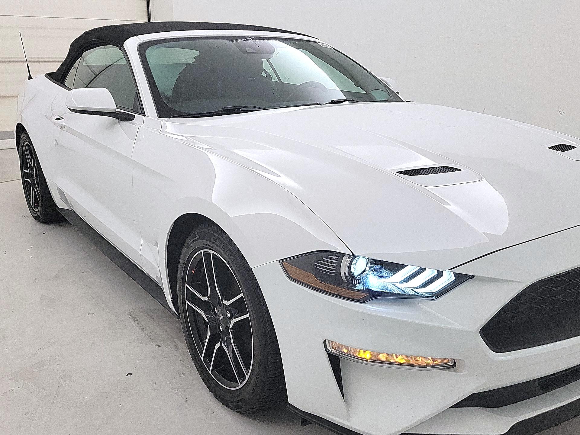 Thumbnail: 2022 Ford Mustang - 1