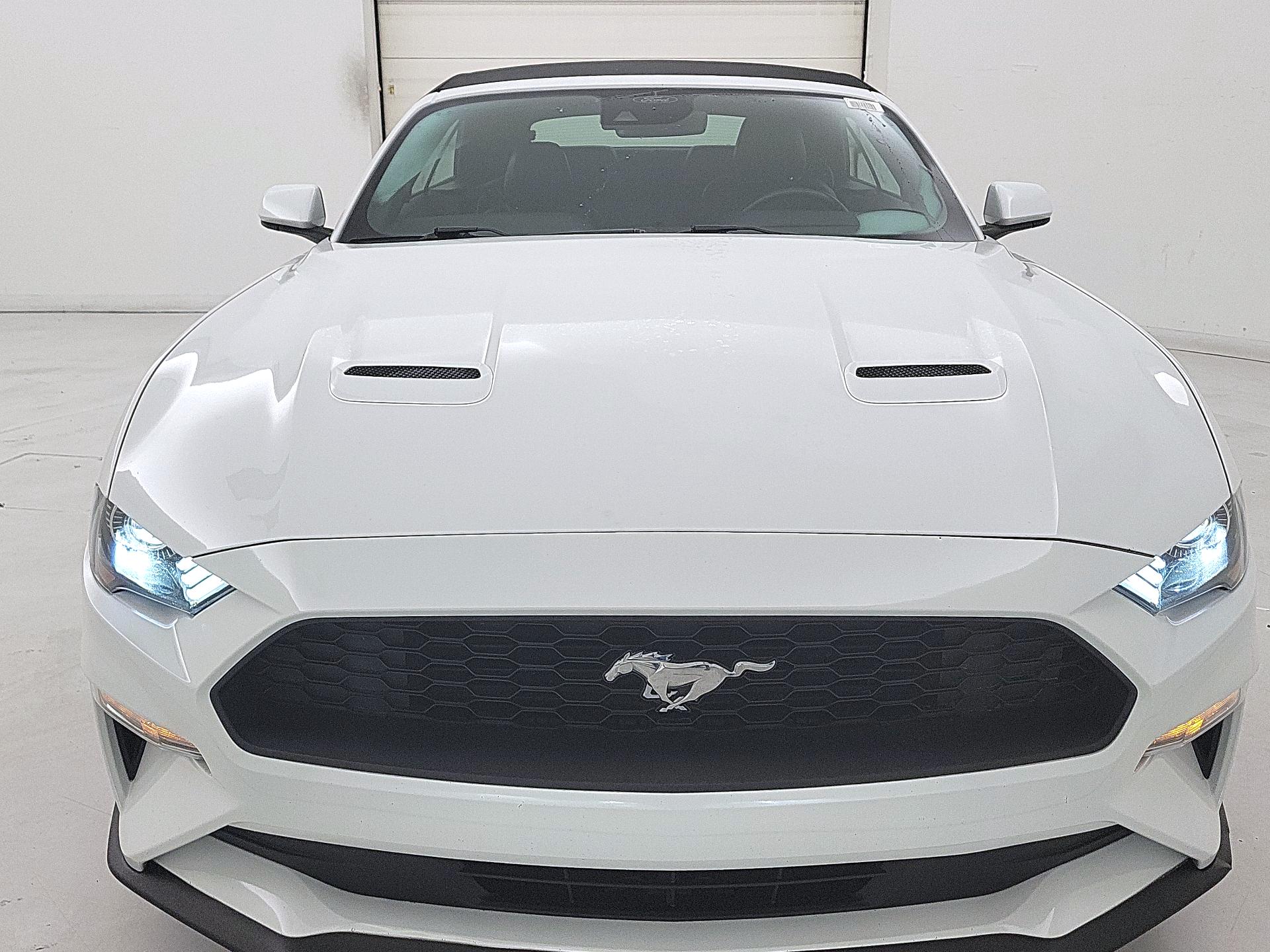 Thumbnail: 2022 Ford Mustang - 2