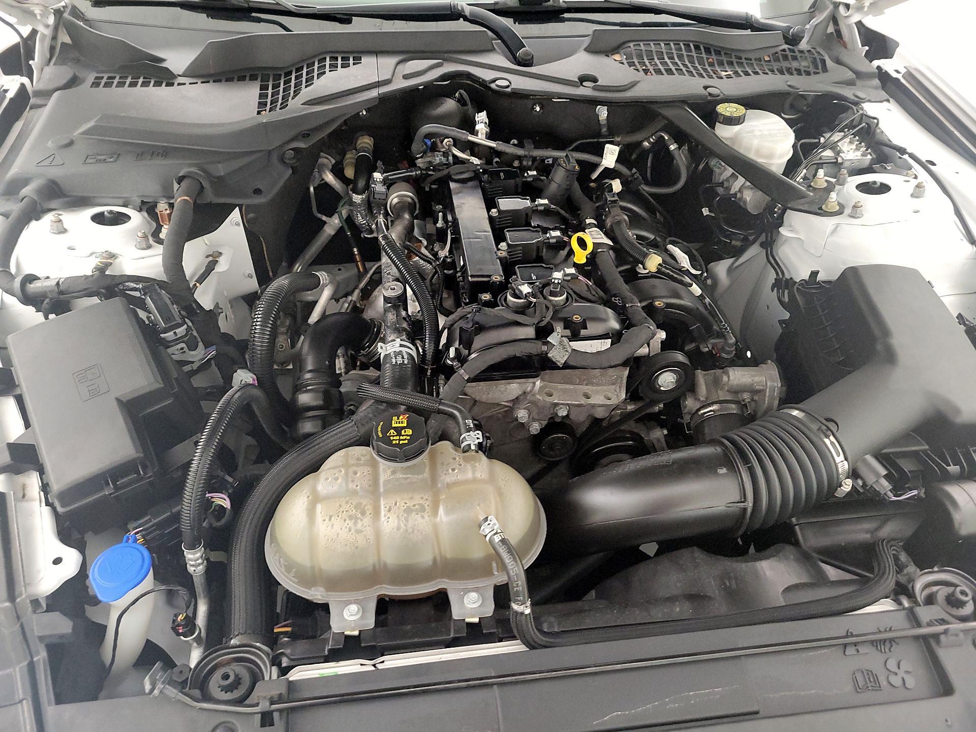 Thumbnail: 2022 Ford Mustang - 19