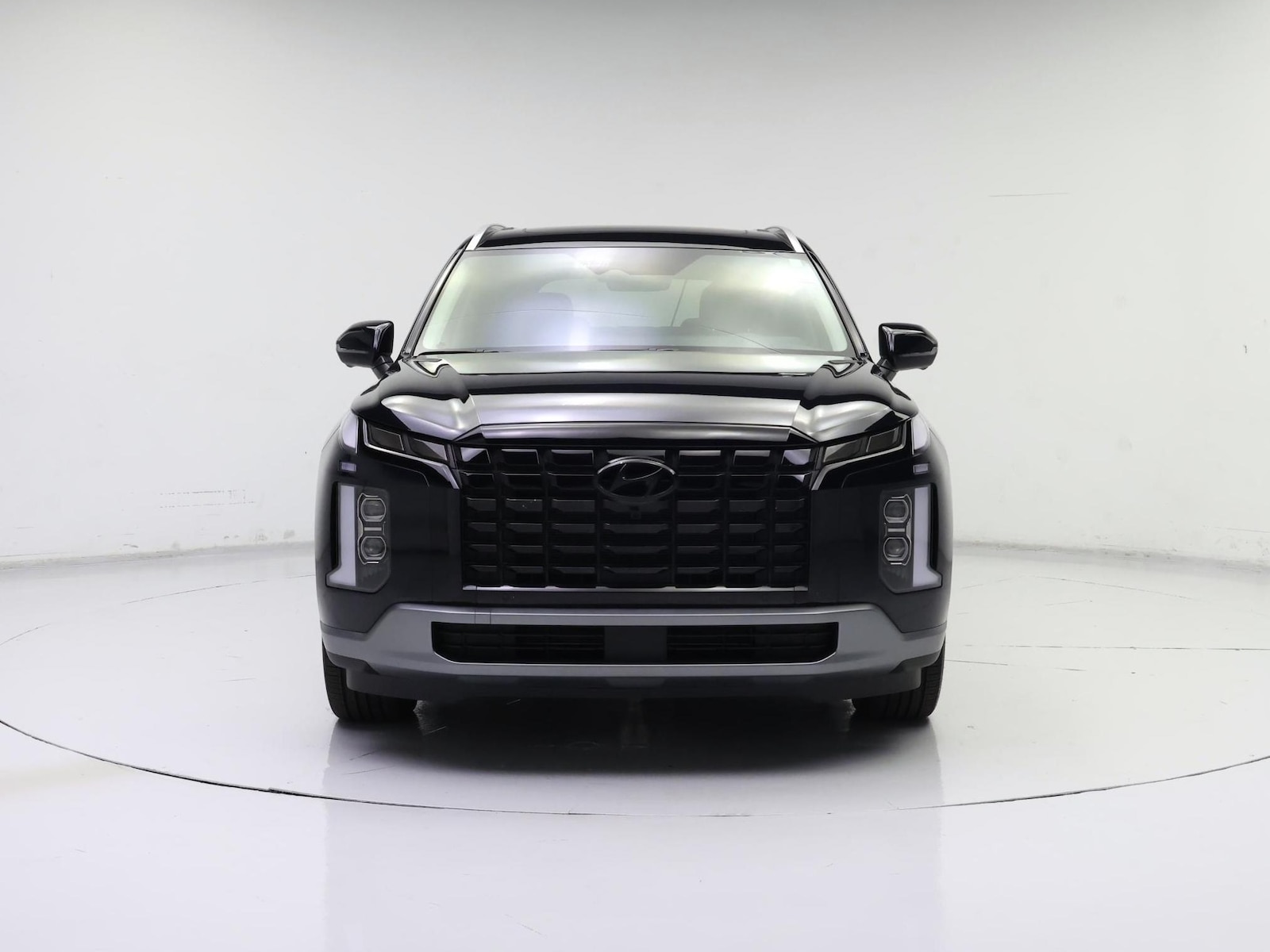 2025 Hyundai Palisade Limited - Photo 6