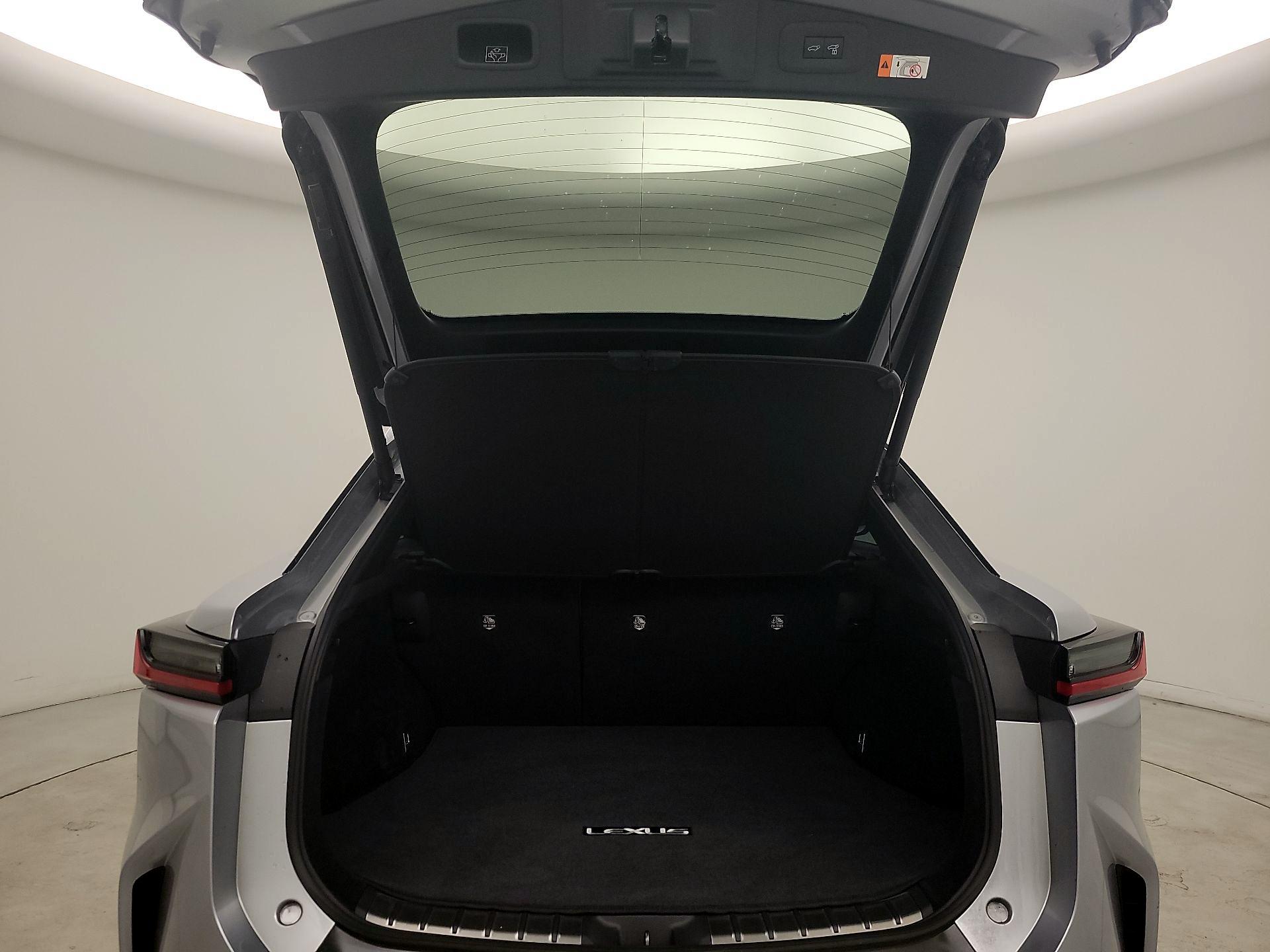 Thumbnail: 2024 Lexus RZ - 20