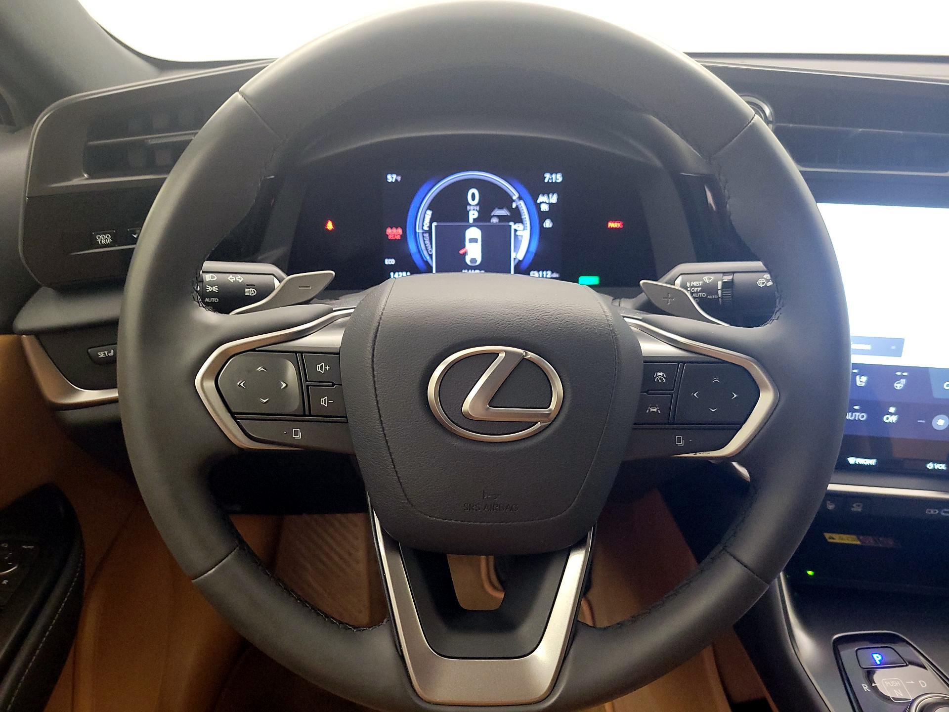 Thumbnail: 2024 Lexus RZ - 10