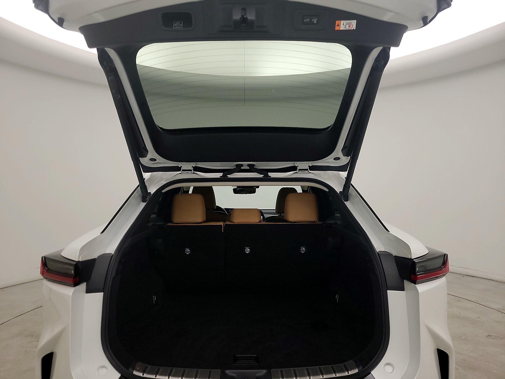 Thumbnail: 2024 Lexus RZ - 20