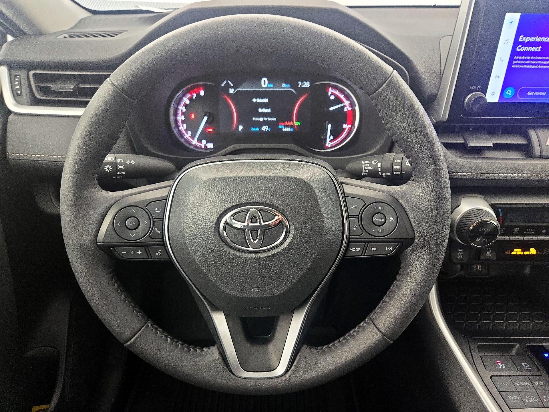 Thumbnail: 2025 Toyota RAV4 - 10