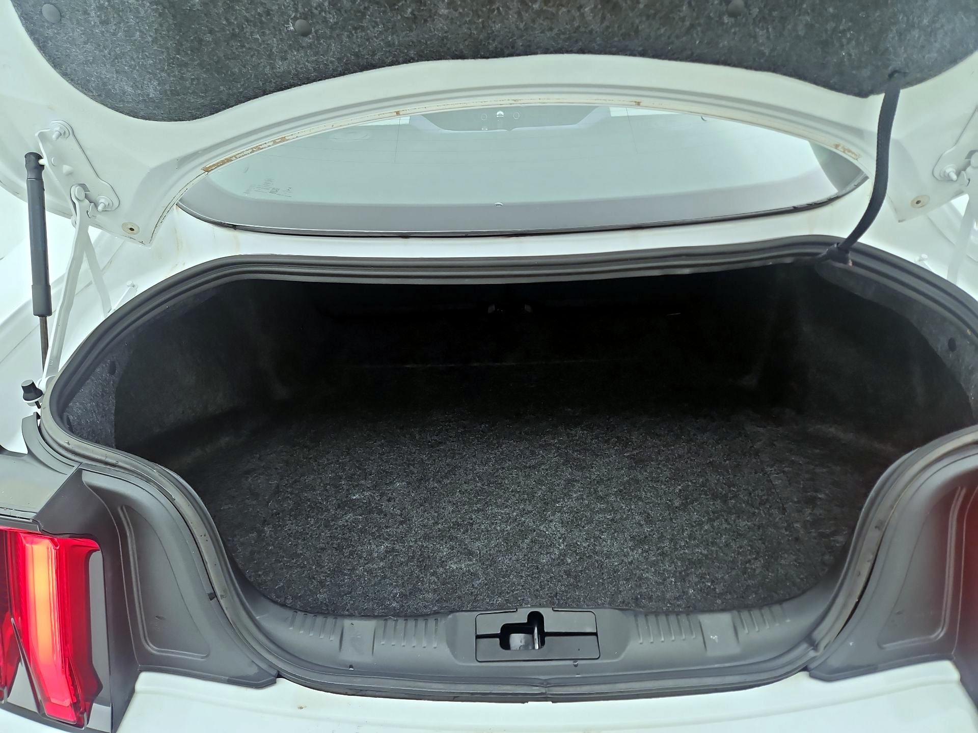 Thumbnail: 2019 Ford Mustang - 20