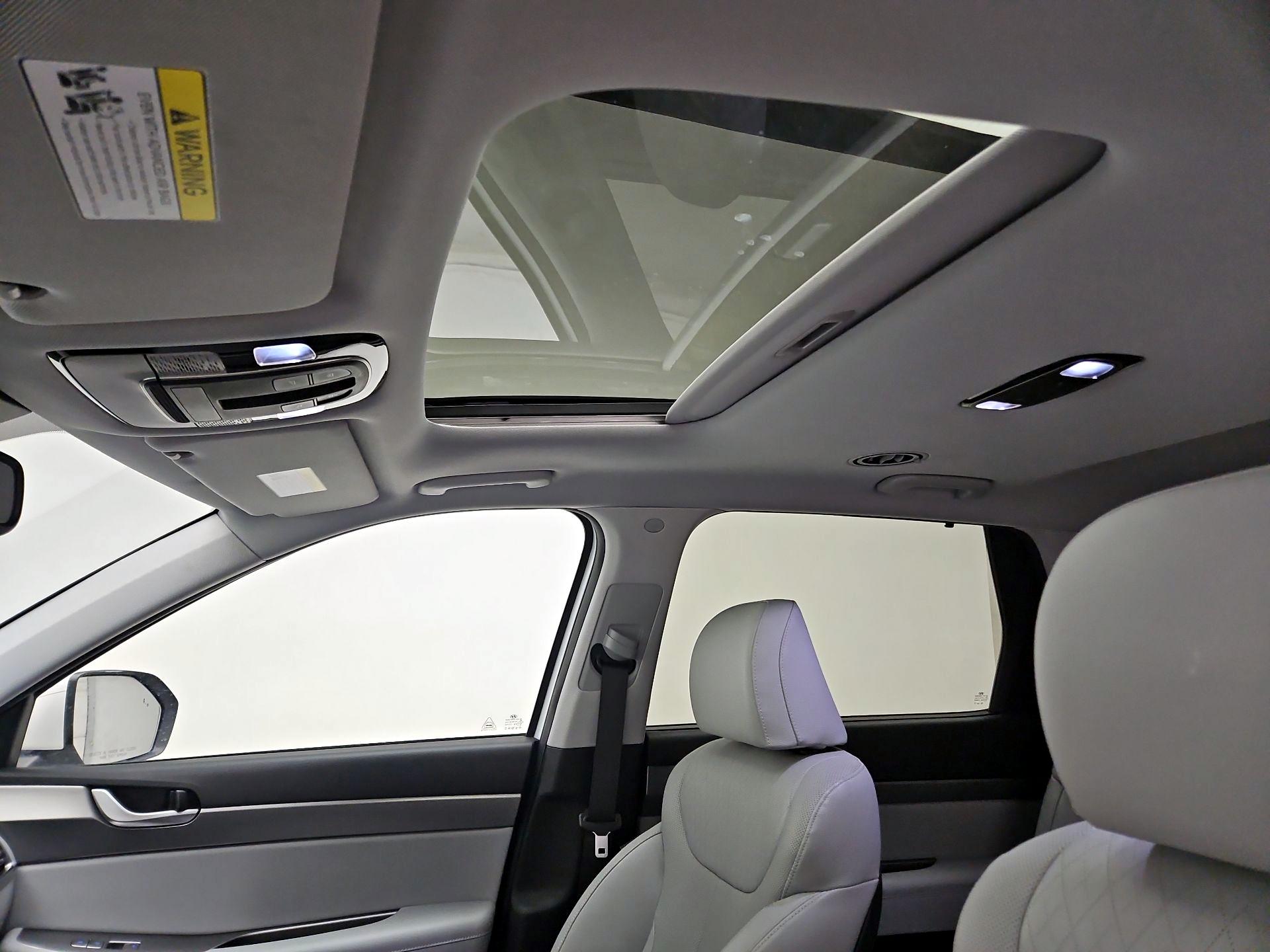 Thumbnail: 2020 Hyundai Palisade - 19