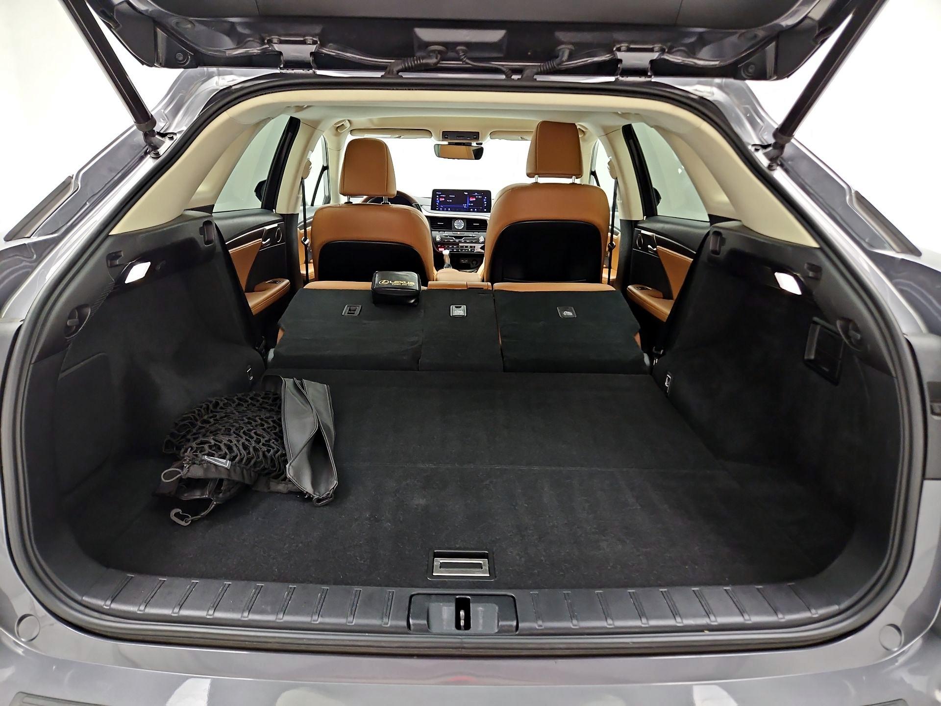 Thumbnail: 2021 Lexus RX - 20