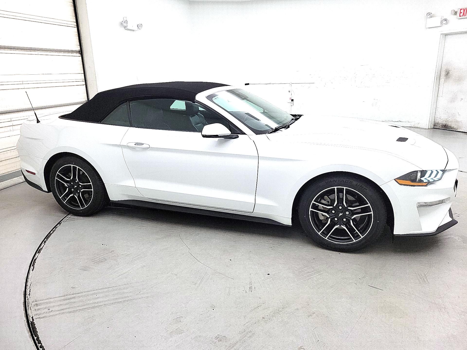 Thumbnail: 2022 Ford Mustang - 4