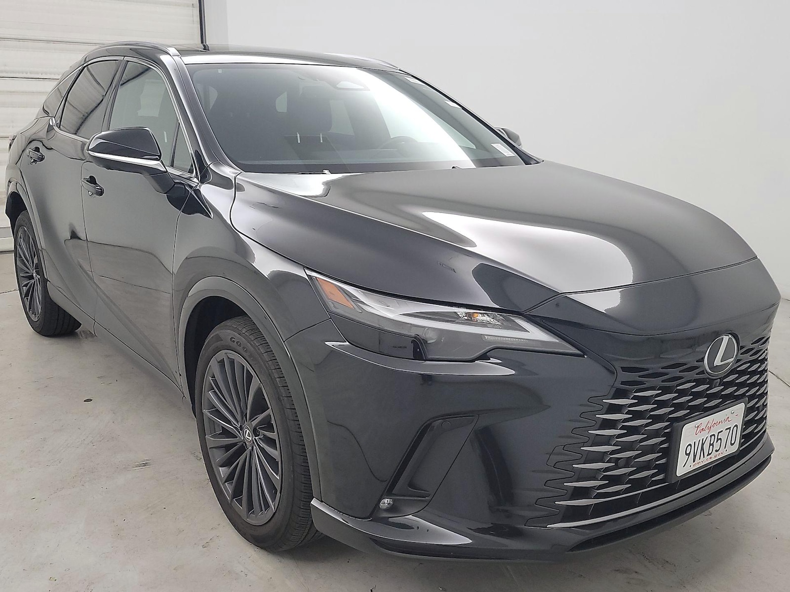 2025 Lexus RX