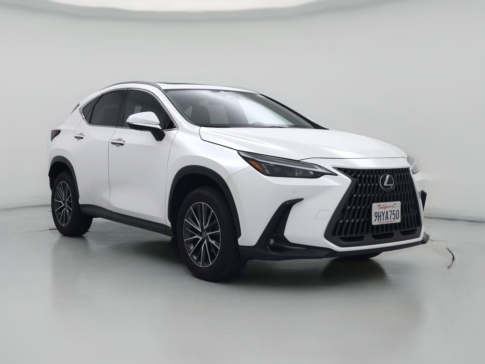 2024 Lexus NX
