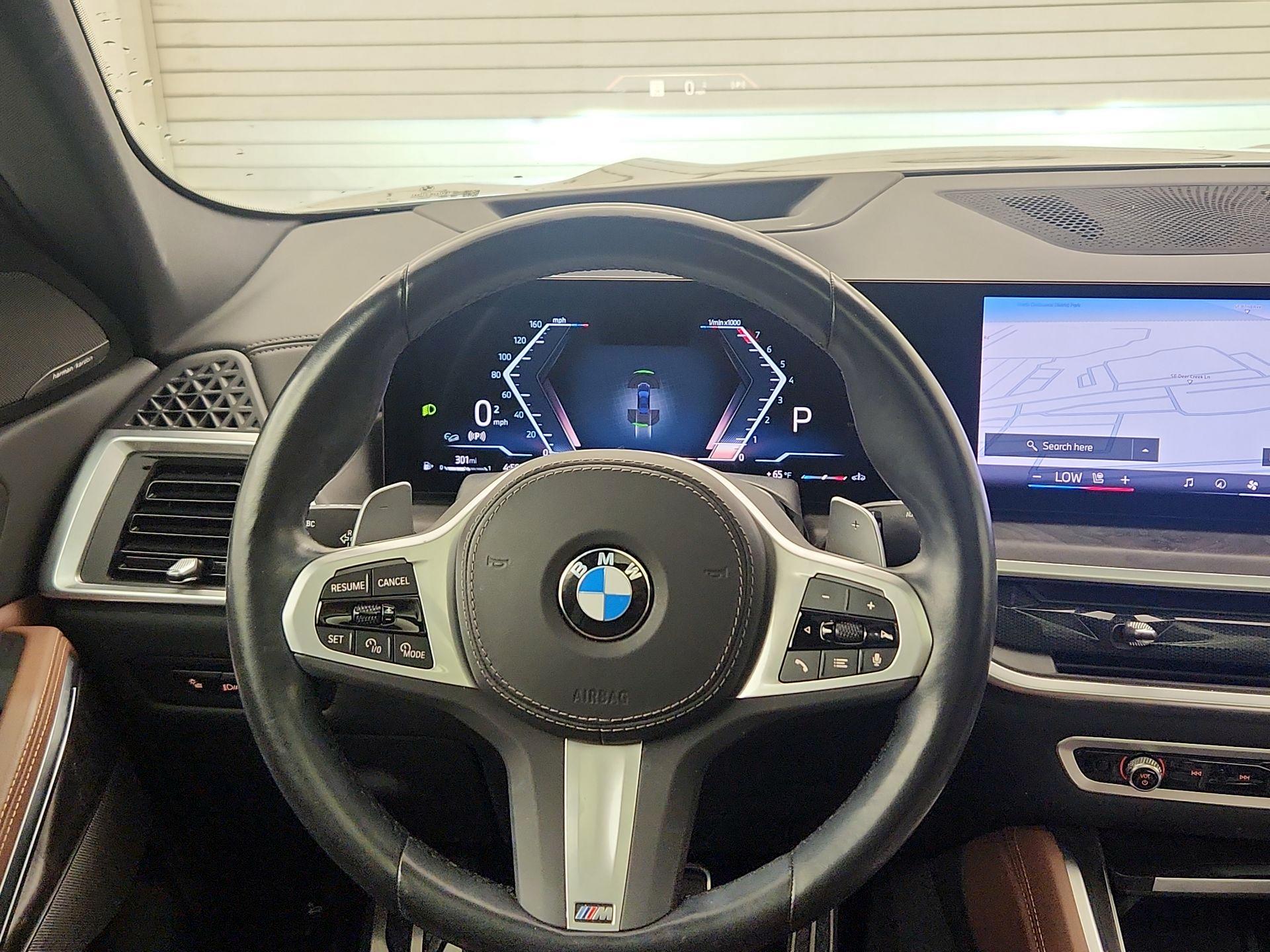 Thumbnail: 2024 BMW X6 - 10