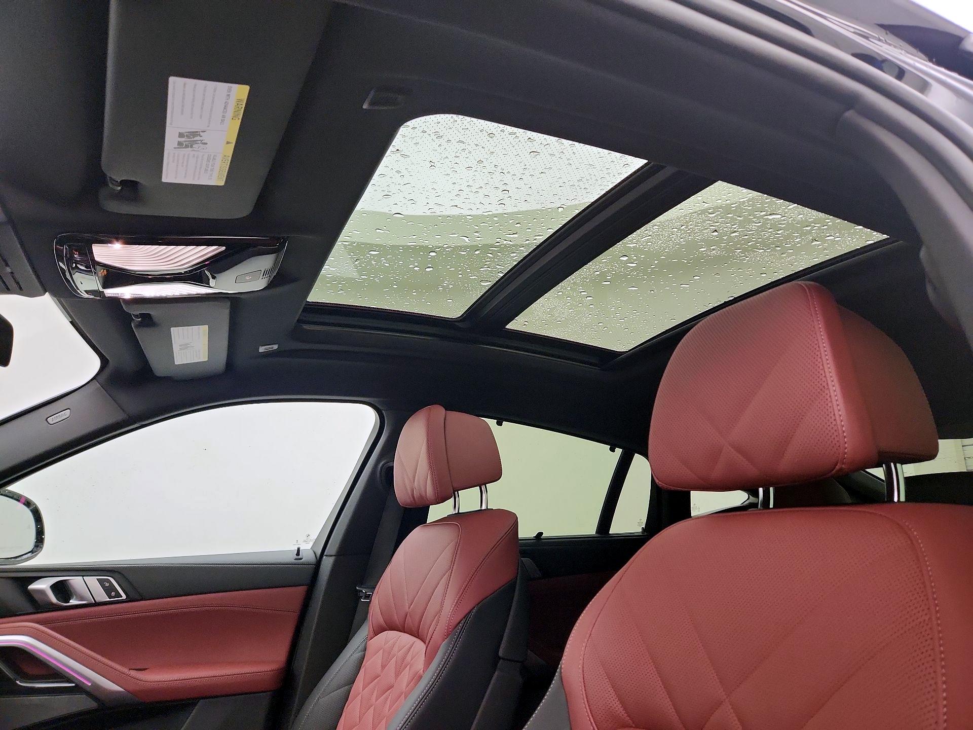 Thumbnail: 2024 BMW X6 - 20