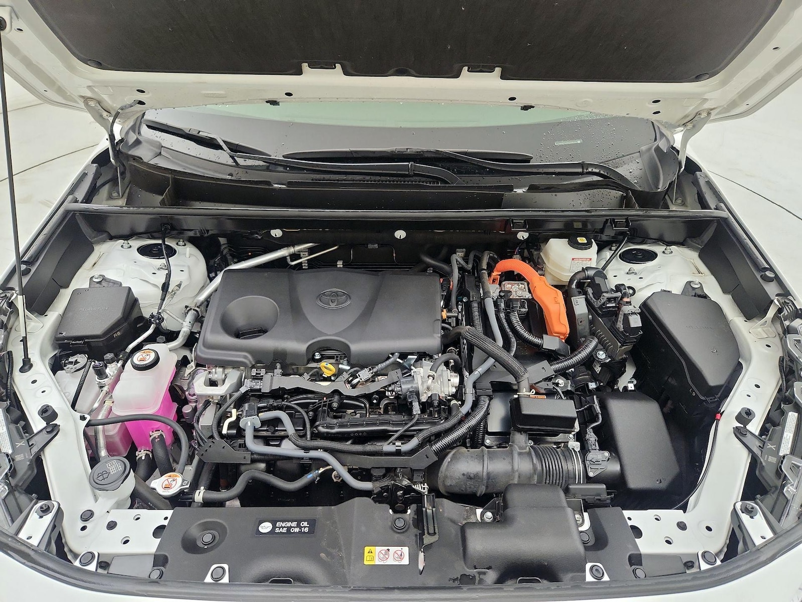 2024 Toyota RAV4 LE - Photo 22