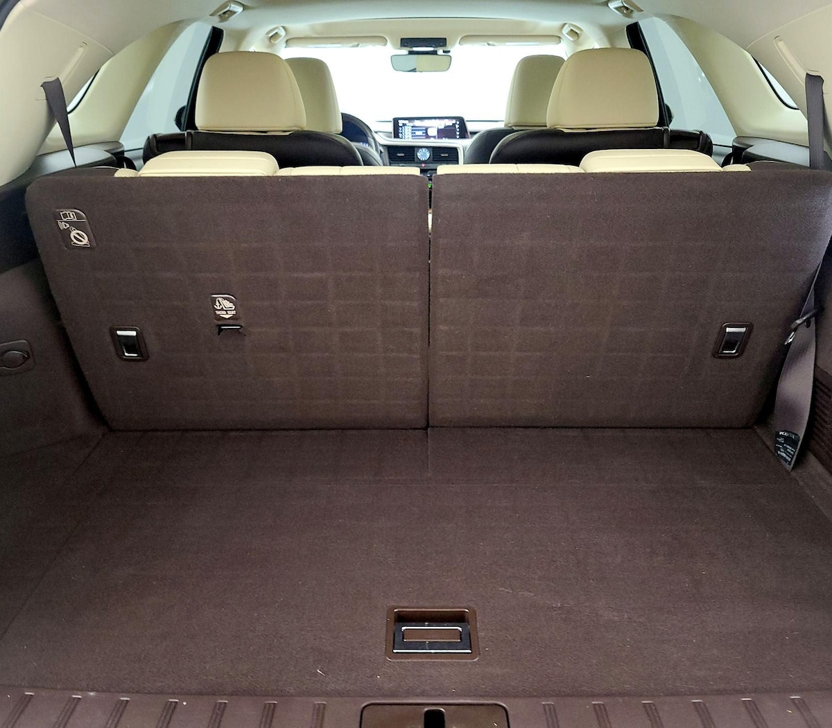 Trunk/Cargo (Seats Up)